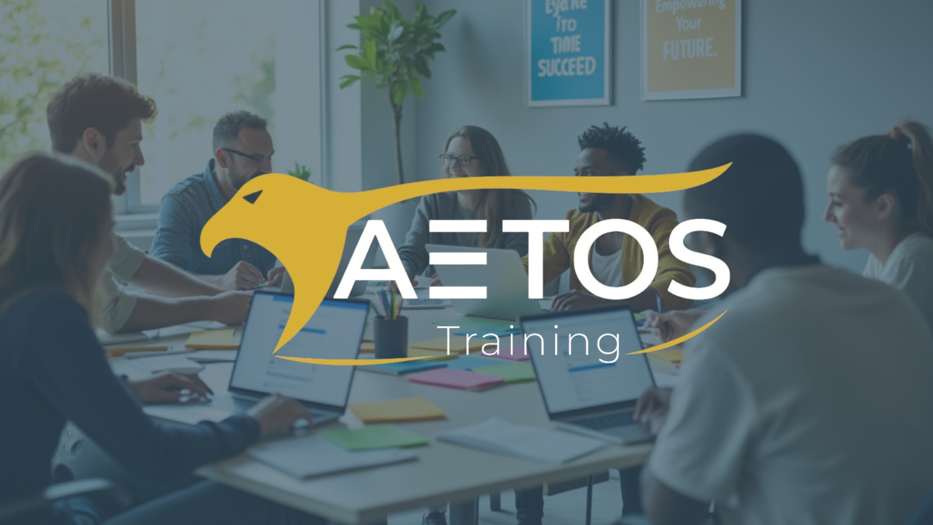 Aetos Training Image